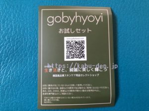 gobyhyoyi体験談